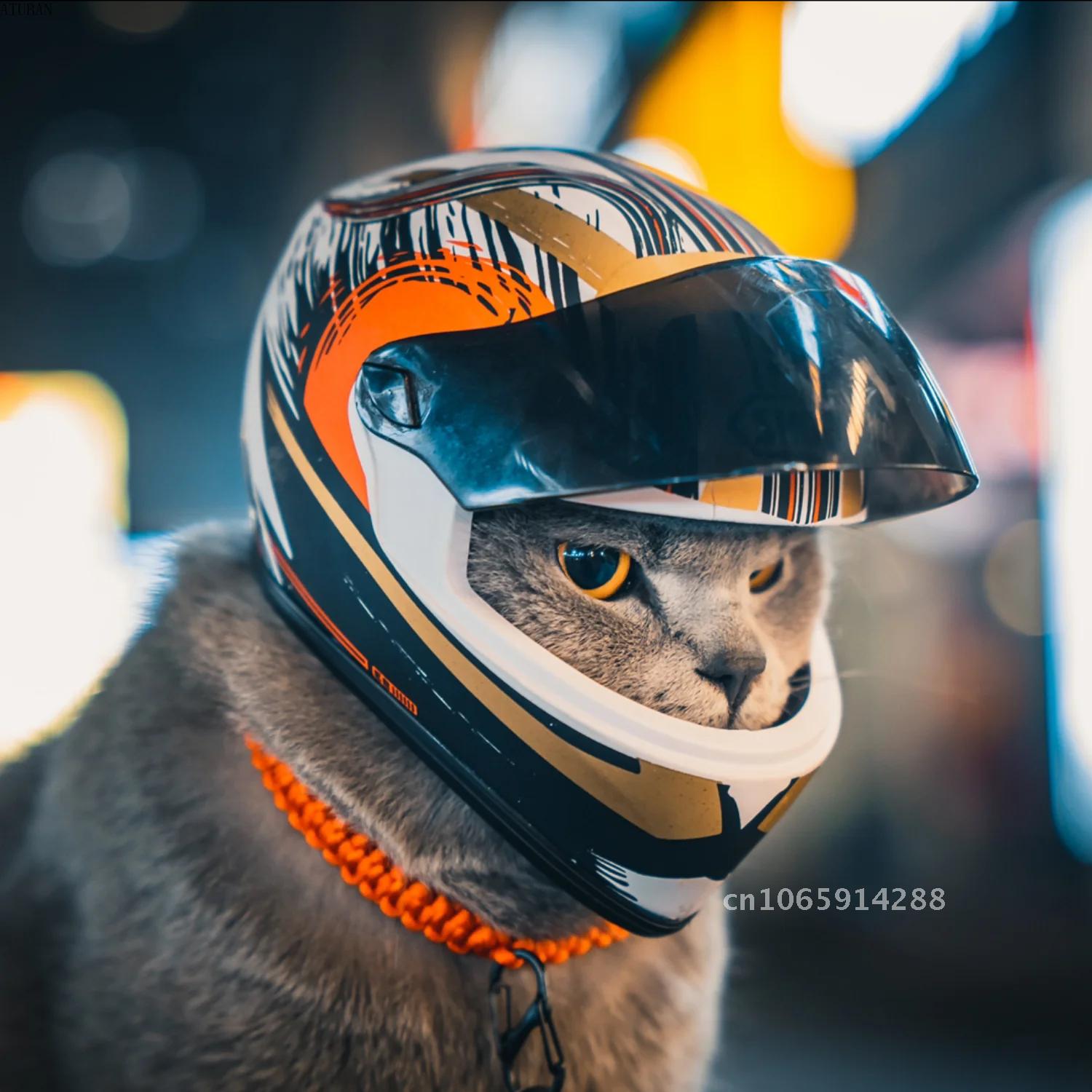 Motorcycle Gear Dogs - Capacetes para Animais de Estimação com