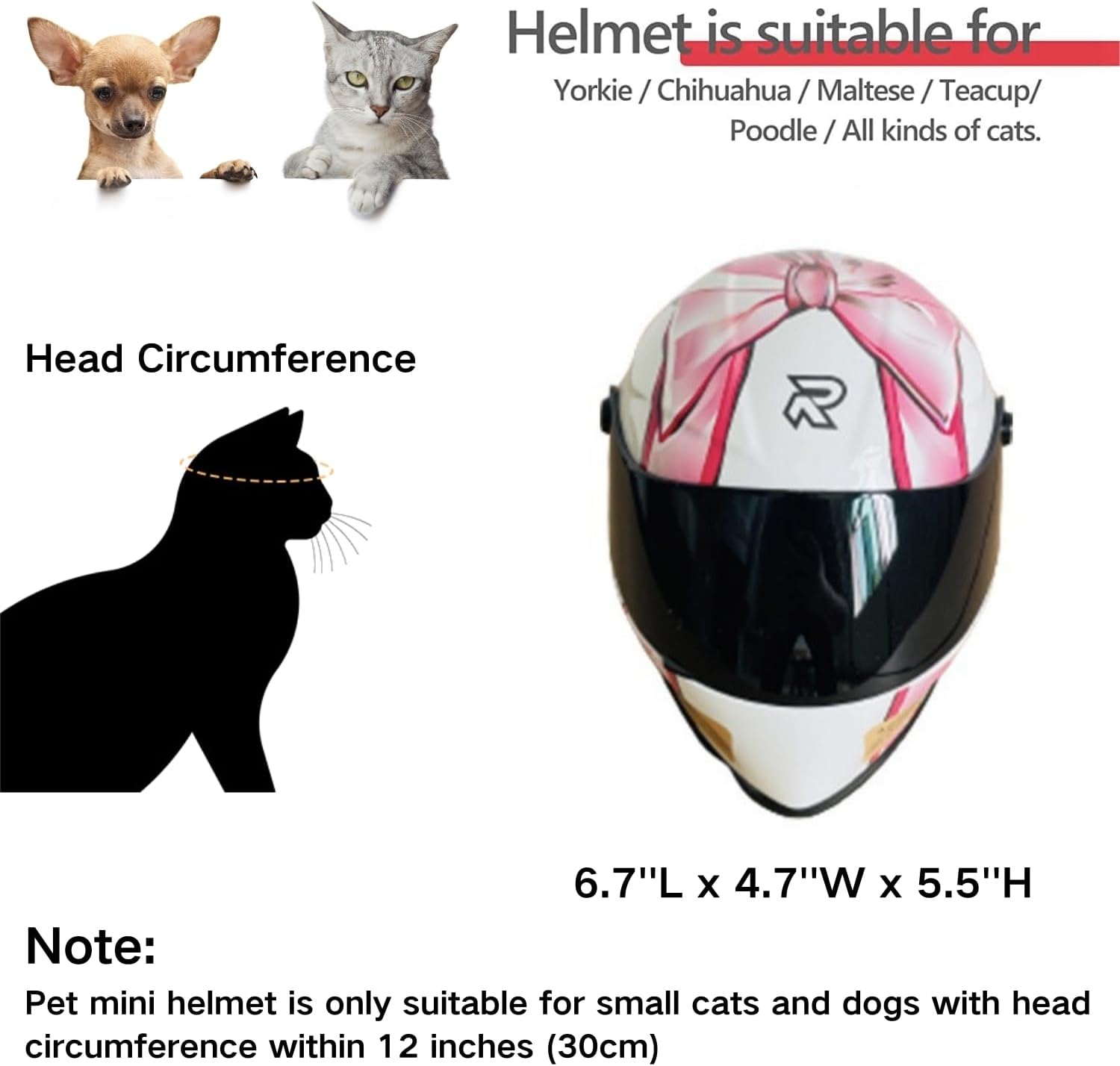 Capacete de Motocicleta para G - Motorcycle Gear Dogs avaliação e preço