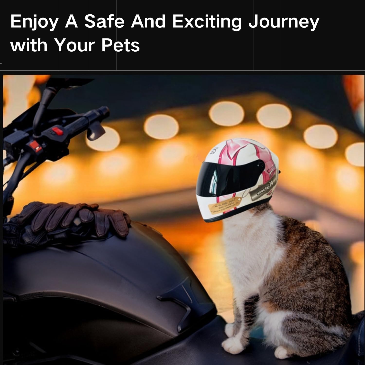 Capacete de Motocicleta para G - Motorcycle Gear Dogs avaliação e preço