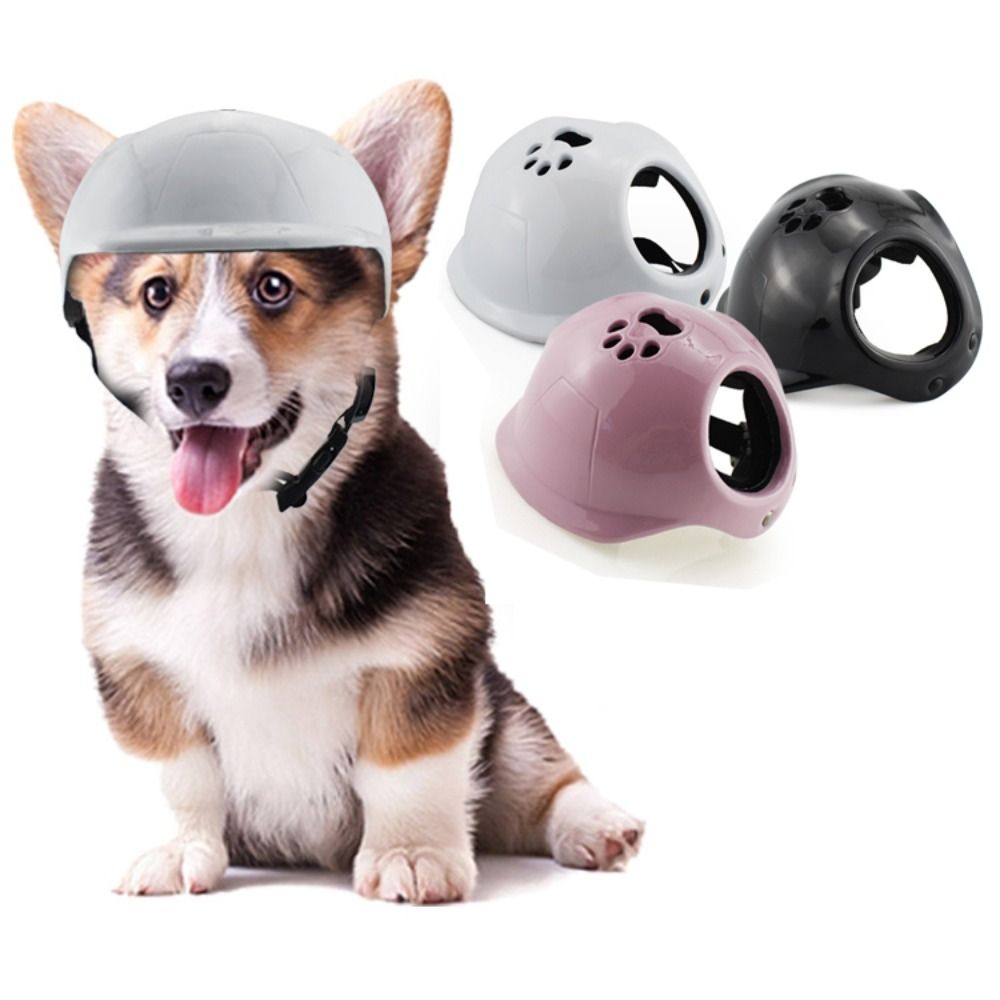 Capacetes de plástico para cãe - Motorcycle Gear Dogs avaliação e preço