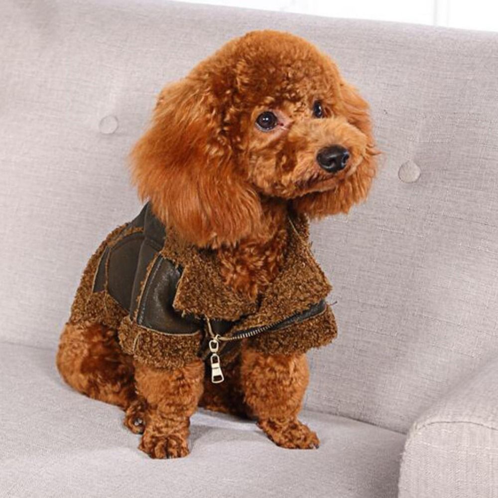 Cão casaco quente engrossado j - Motorcycle Gear Dogs avaliação e preço