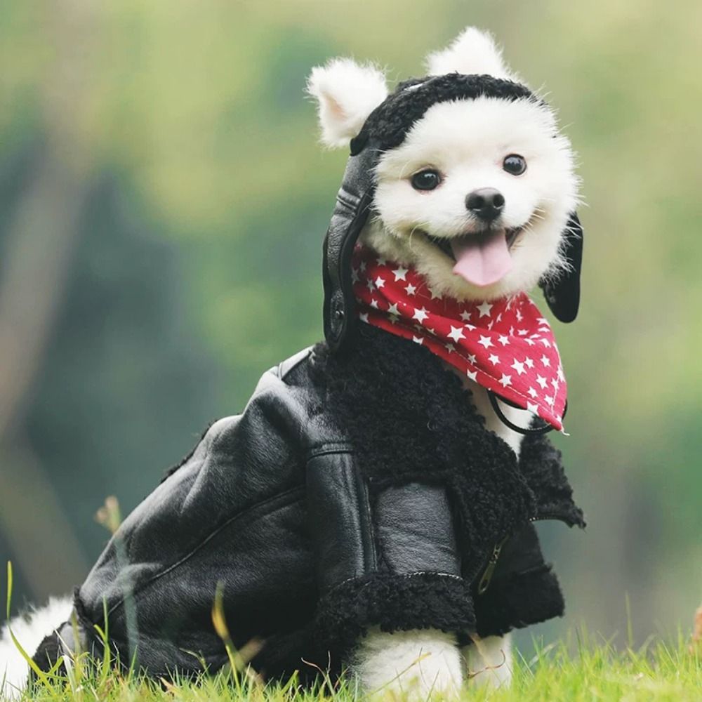 Cão casaco quente engrossado j - Motorcycle Gear Dogs avaliação e preço