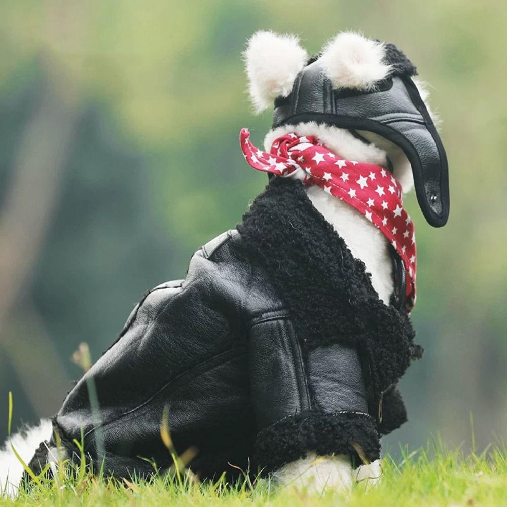 Cão casaco quente engrossado j - Motorcycle Gear Dogs avaliação e preço