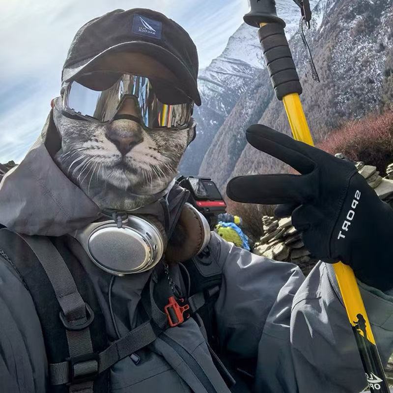 3d gato cão bonito animal bala - Motorcycle Gear Dogs avaliação e preço
