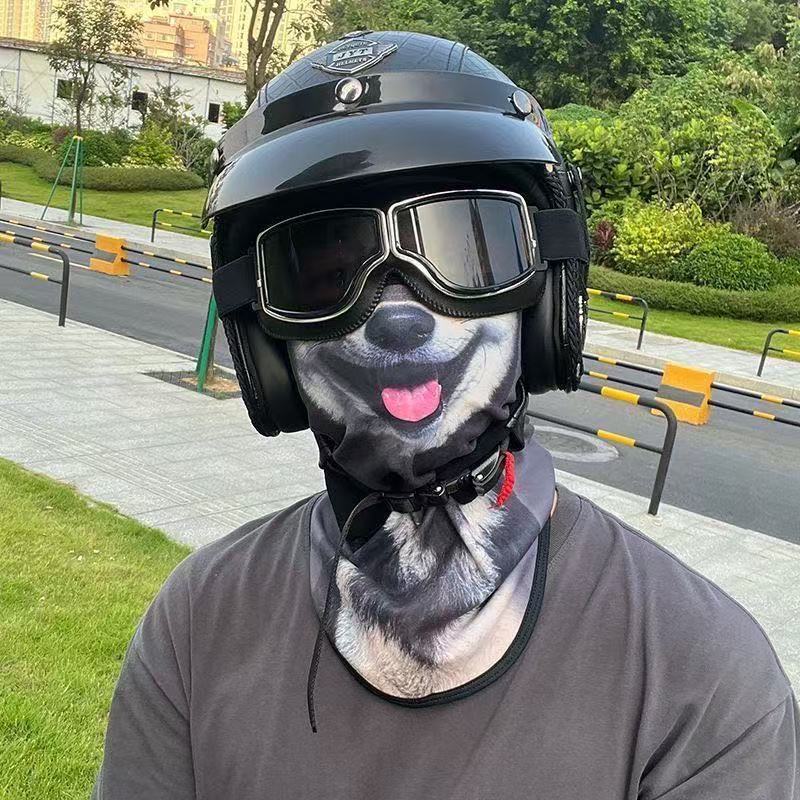 3d gato cão bonito animal bala - Motorcycle Gear Dogs avaliação e preço