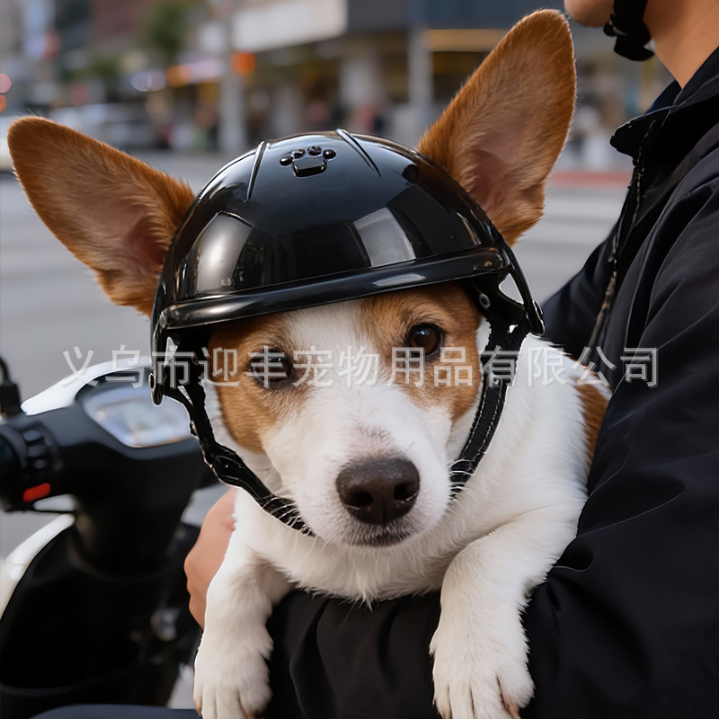 Capacete Rosa para Animais de  - Motorcycle Gear Dogs avaliação e preço