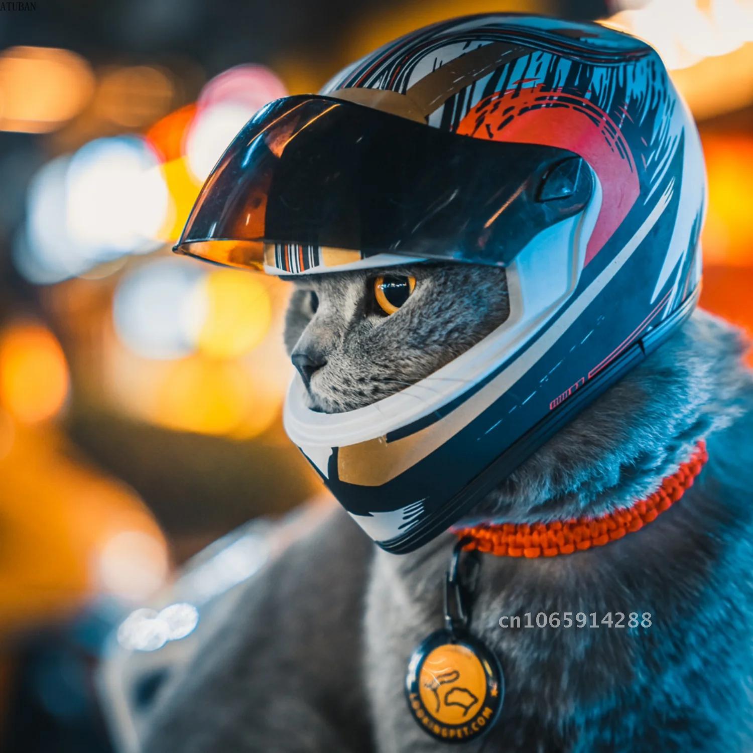 Capacetes para Animais de Esti - Motorcycle Gear Dogs avaliação e preço