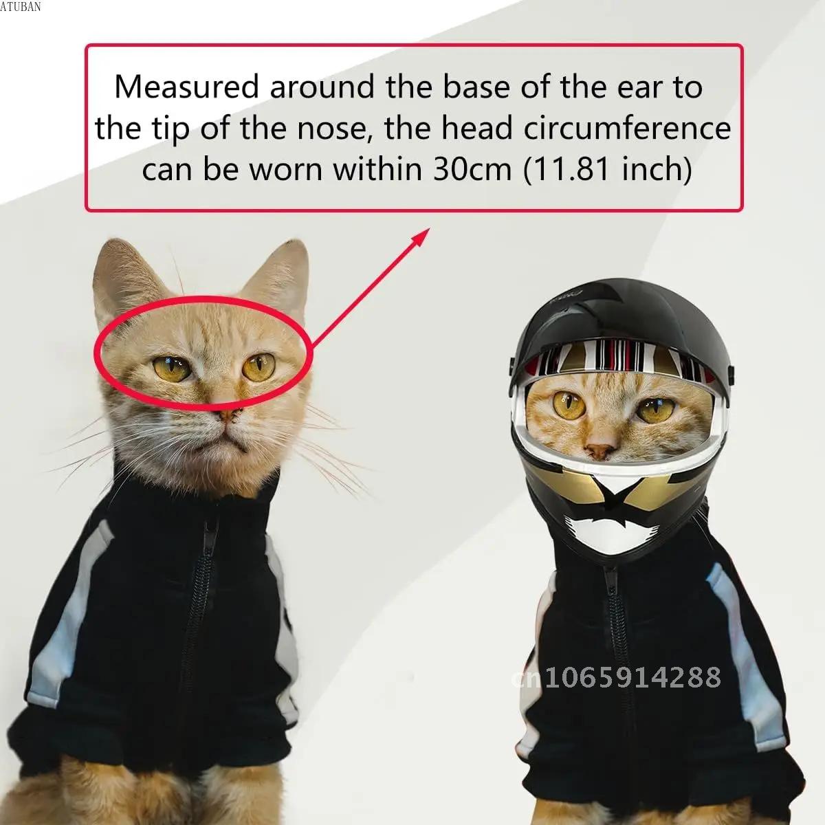 Capacetes para Animais de Esti - Motorcycle Gear Dogs avaliação e preço