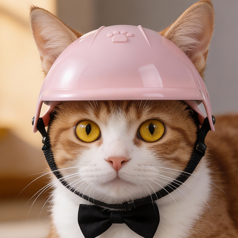 Capacete para Animais de Estim - Motorcycle Gear Dogs avaliação e preço