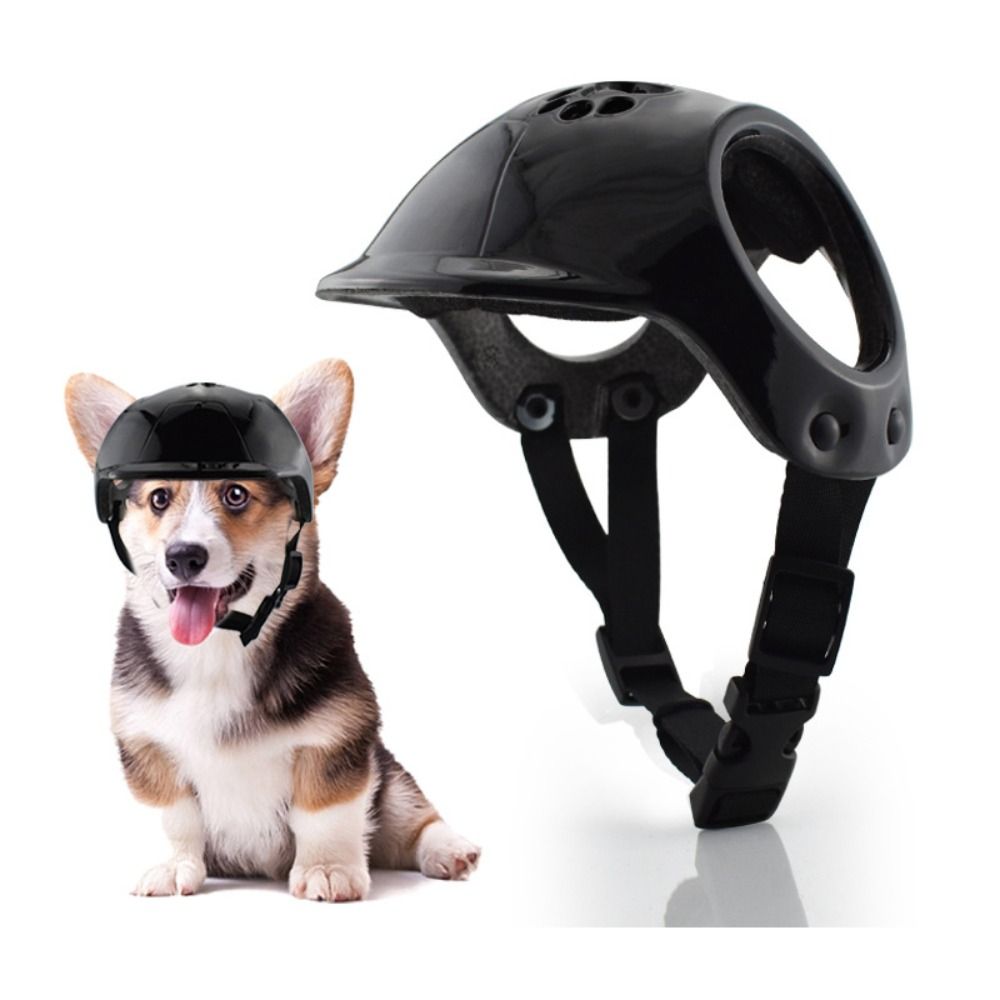Capacetes de plástico para cãe - Motorcycle Gear Dogs avaliação e preço