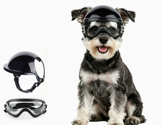 Conjunto de Óculos de Sol e Ca - Motorcycle Gear Dogs avaliação e preço