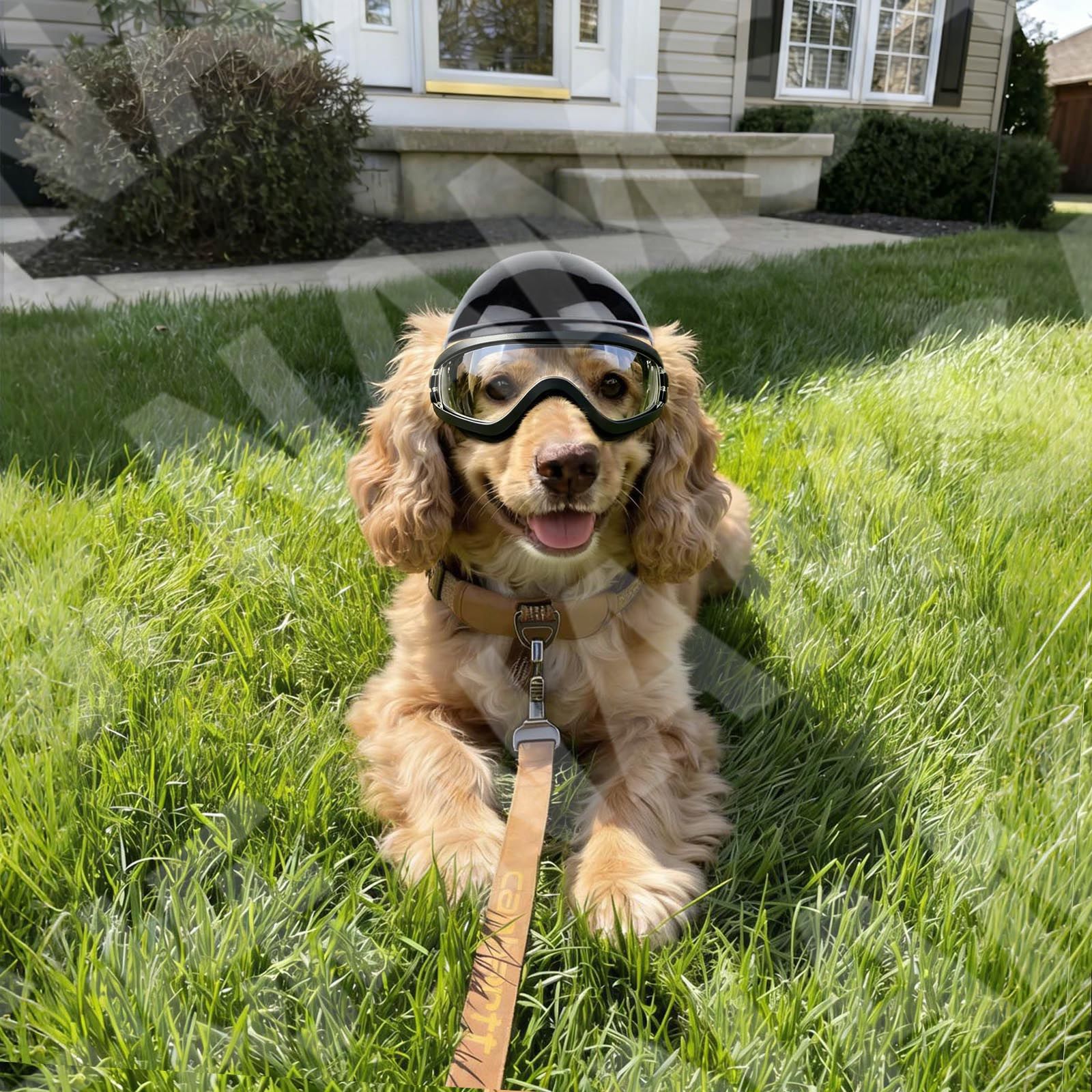 Conjunto de Óculos de Sol e Ca - Motorcycle Gear Dogs avaliação e preço