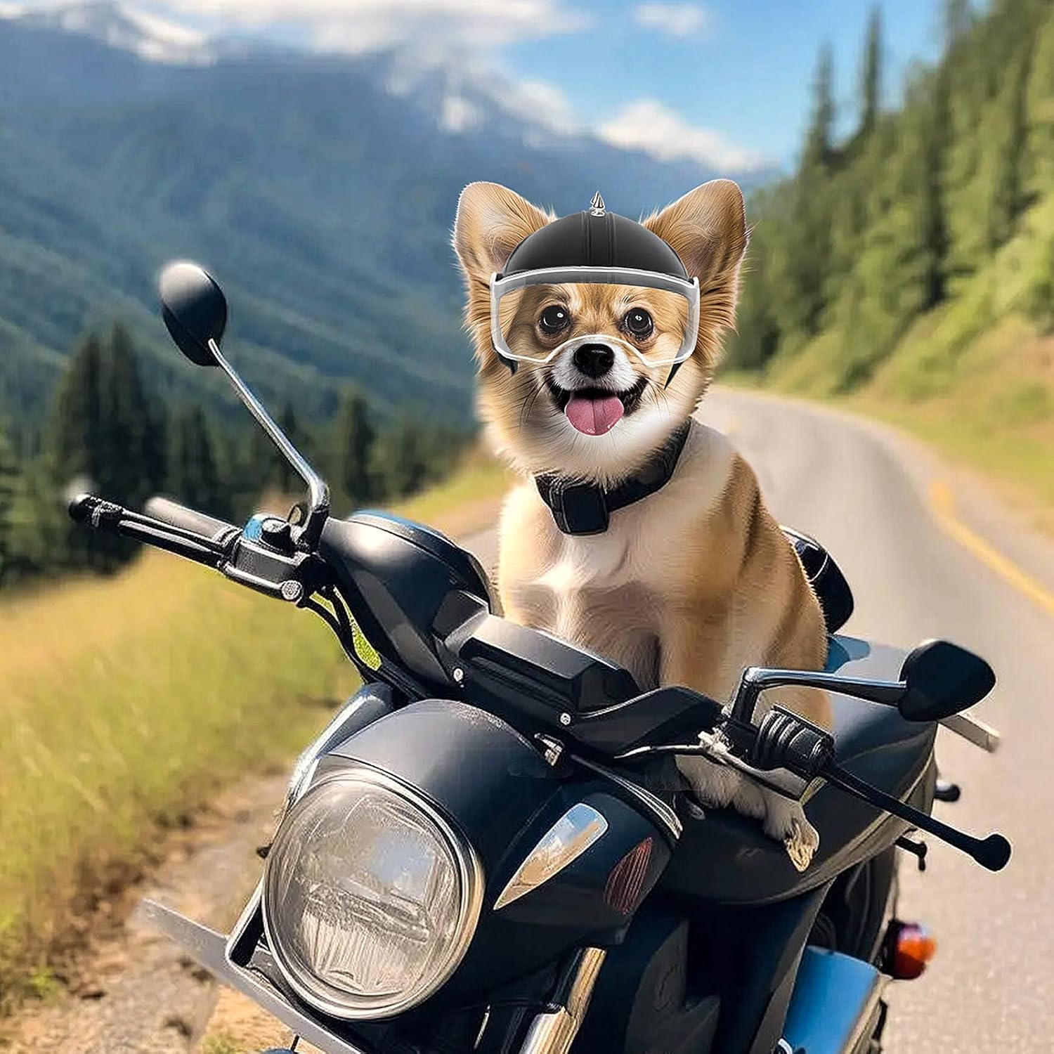 Capacete para Cães Pequenos, C - Motorcycle Gear Dogs avaliação e preço